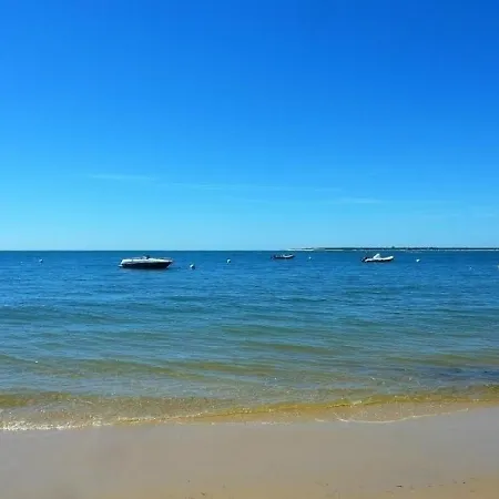 아파트 - Lumineux Avec Balcon Et Wifi, Proche - Fr-1-420-97 아르카숑